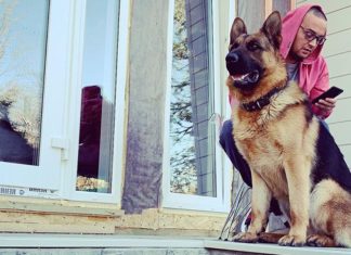 Зоозащитники подают в суд на Гуфа