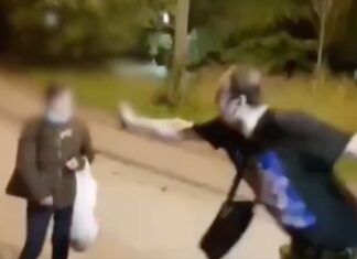 Блогеры пробили дно: стримеры в прямом эфире напали на прохожую в парке