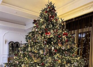 В кругу семьи: Как отечественные звезды отметили Новый год