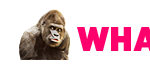 logo-header-1