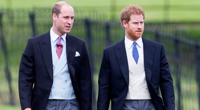 Принцы Гарри и Уильям: речь на открытии памятника их матери будет раздельной